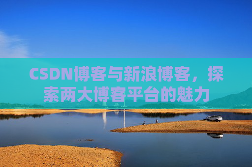 CSDN博客与新浪博客,探索两大博客平台的魅力