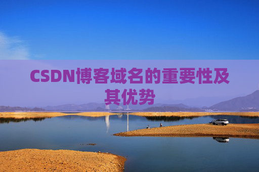CSDN博客域名的重要性及其优势